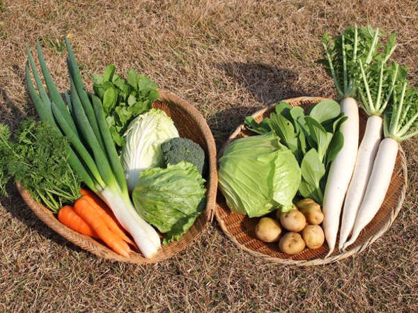 【野菜】佐渡産・有機栽培ササニシキや農薬・化学肥料を使わない農作物を生産者から直接仕入れています。