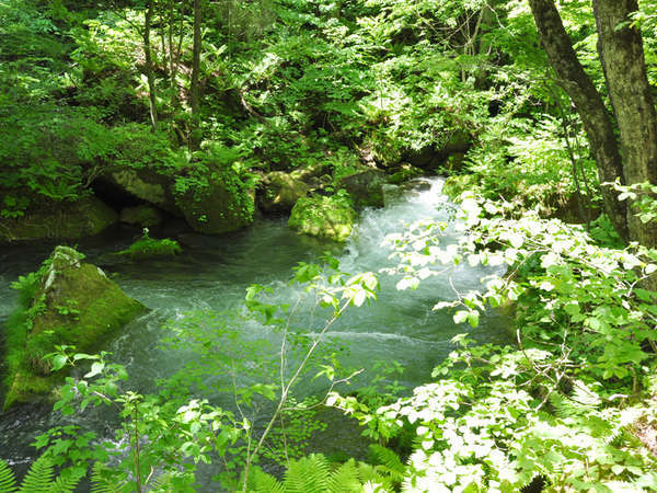 十和田湖畔温泉 十和田湖山荘の写真その5