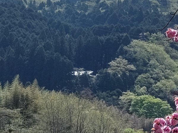 料理旅館清風荘の写真その2