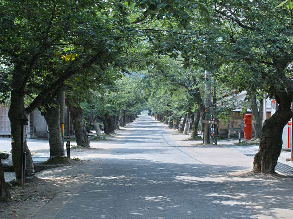 新庄宿 須貝邸の写真その4