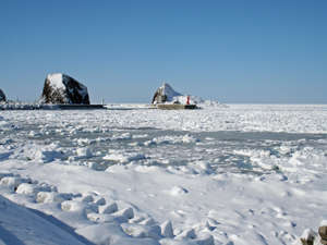 海が流氷に覆われて真っ白に。徒歩１０分の道路沿いから撮影。やっぱり流氷見るならウトロです！