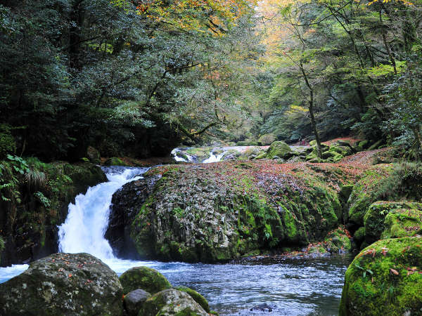 日本名水百選に選ばれている菊池渓谷！
