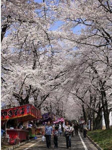 赤城温泉 御宿総本家の写真その3