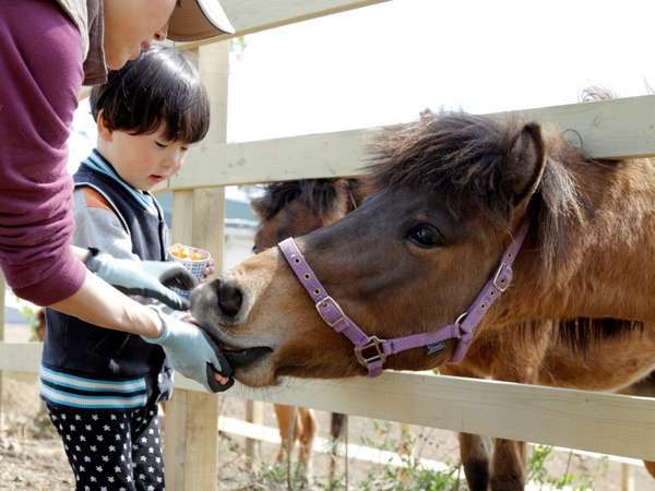 お子様から大人まで楽しめる餌やり体験。やさしい性格だから怖くないよ＾＾