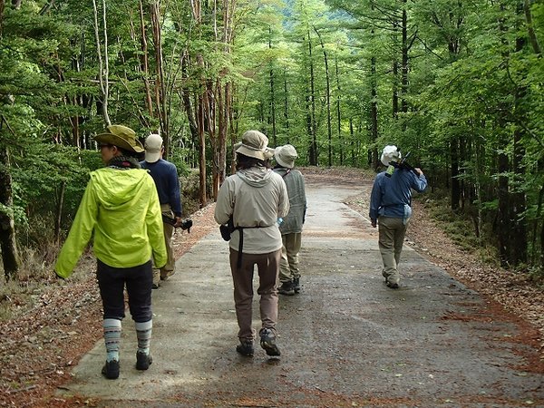 川根本町中川根ウッドハウスおろくぼの写真その4