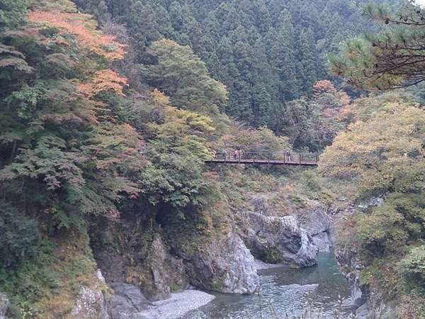 2015年の紅葉ですが、今年は11月上～中旬が見ごろかと。（水神様から吊橋方向）