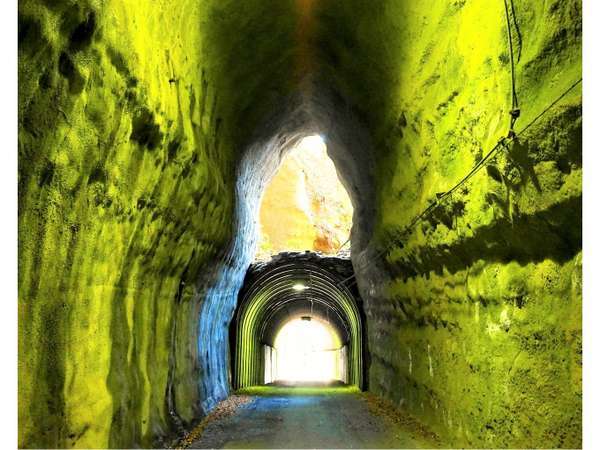 養老渓谷温泉郷 小さな旅の宿 天龍荘の写真その5