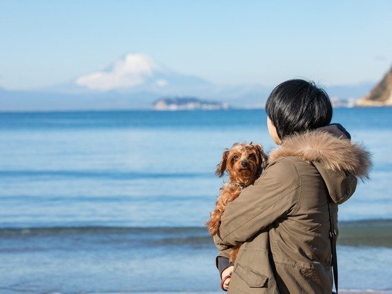 ペットと泊まれます