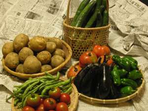 ●女将手作り取れたて野菜●NPO法人エコクラブみのぶ協力のEM農法で作る甘い野菜。朝取り田舎体験も計画中