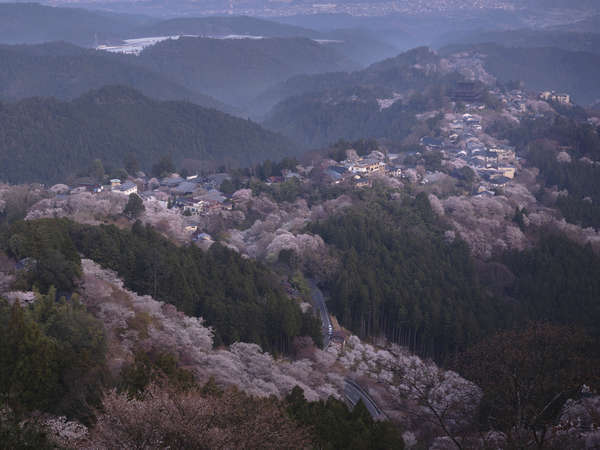 美吉野桜庵の写真その5