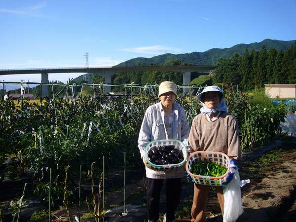 女将のつくる野菜たちは太陽たっぷり浴びてます!