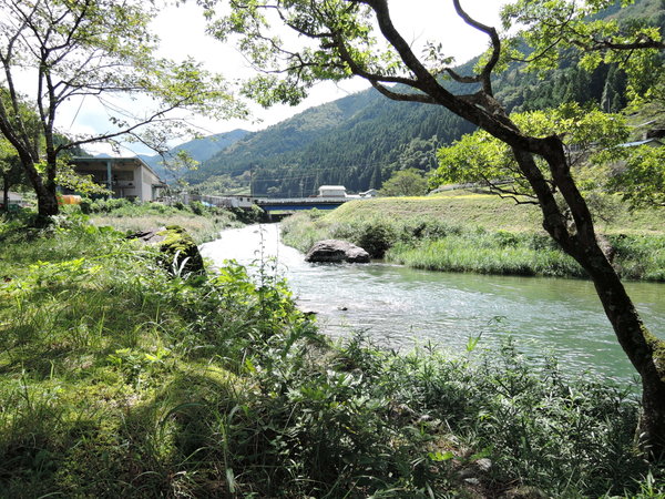 田中屋旅館の写真その4