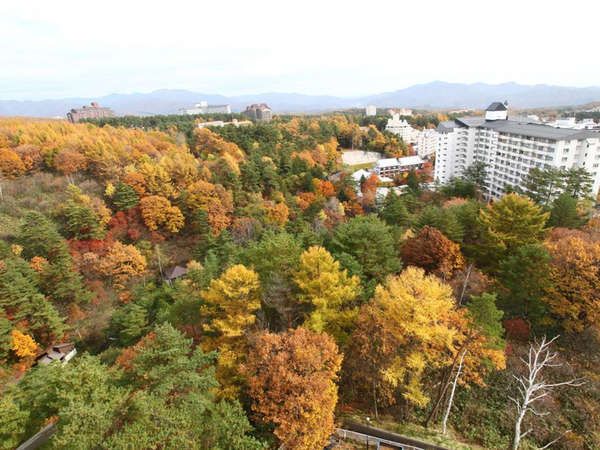 草津温泉 ホテルニュー紅葉の写真その5