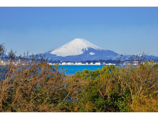２Fの廊下から富士山が見えます。