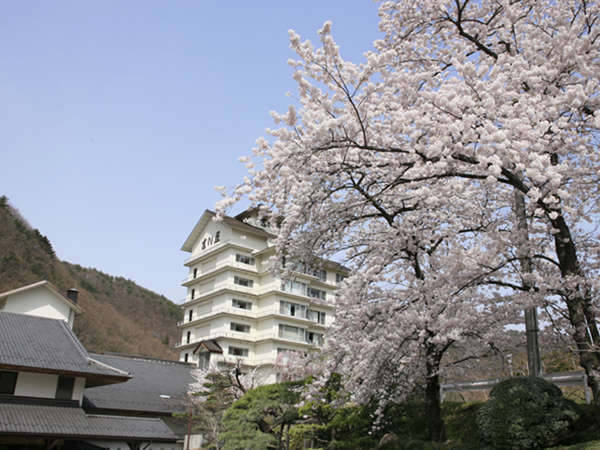 春の外観。自然に囲まれた空間に桜が映える吉川屋。