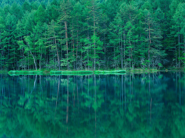 信玄の薬湯 渋・辰野館の写真その3