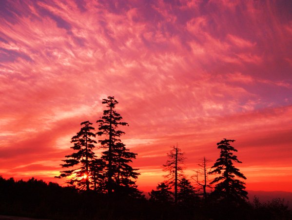 客室から望む絶景の夕焼け