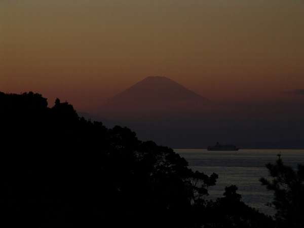 荒崎海音 さがみやの写真その5