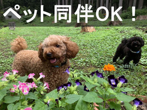 *大切なペットとのご宿泊OK！