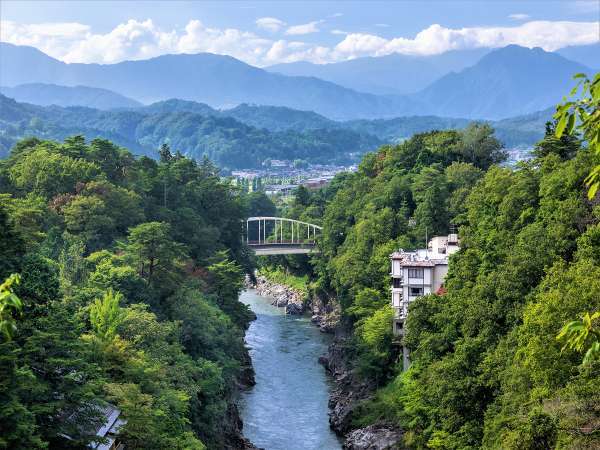 天竜峡温泉 ～秘境のおやど～龍峡亭の写真その1