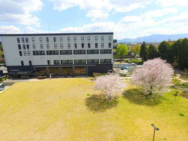 満開の桜も楽しめます♪