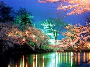 高田城夜桜
