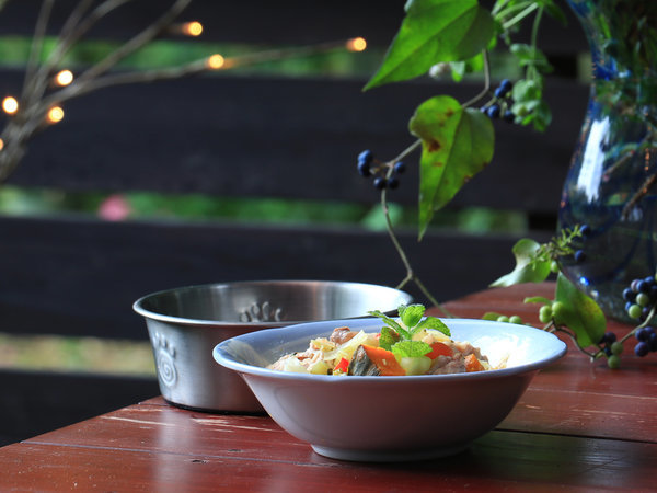 【犬用薬膳ごはん】彩り野菜とお肉を薬膳でどうぞ