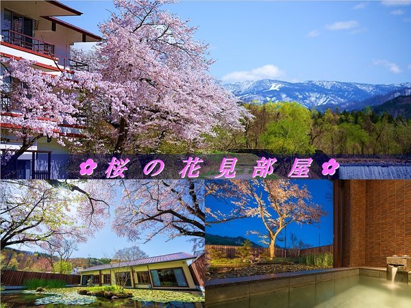 ◆桜の花見部屋◆2024年開花予想4/16～、満開4/21～、桜吹雪4/25～！夜はライトアップで夜桜鑑賞！