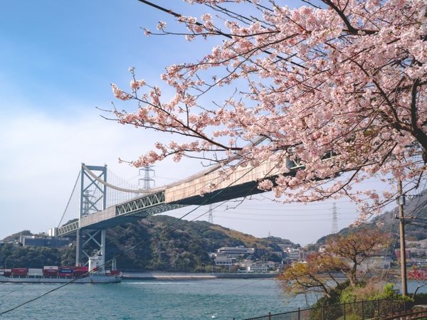 【和布刈公園】美しい青の関門海峡に桜色がとても映えます