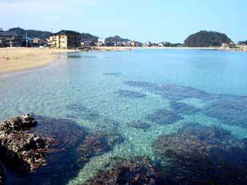 当館目の前の竹野ビーチは透明度バツグン！！