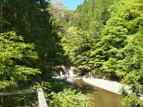 奥・小又川バンガローの写真その2