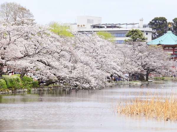 ★上野公園