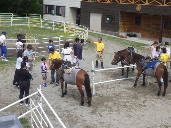 馬との触れ合い