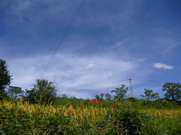 澄んだ空気と青空に田園風景の広がる里山です。