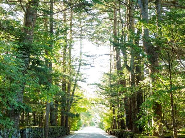 旧軽井沢の別荘地にいちするから散策満喫できます
