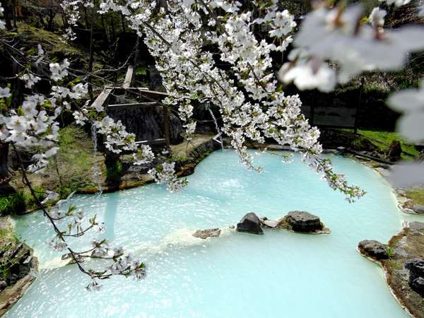 白骨の名湯 泡の湯の写真その2