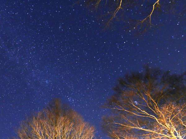 一歩外に出れば綺麗な星空がお出迎え☆