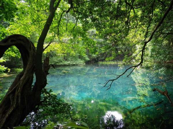 鳥海温泉 遊楽里の写真その4