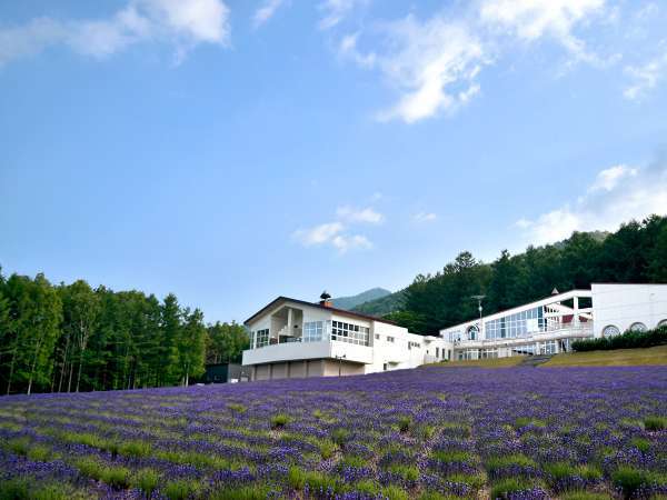 【外観】当館の前に広がる「ラベンダーの森」は、富良野市内一大きなラベンダー畑です。