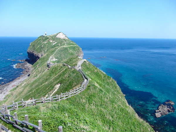 神威岬の遊歩道は恐竜の首の上を歩くように続きます