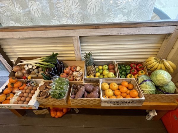 ご宿泊のお客様が無料でご利用頂ける、旬の野菜やフルーツです。（季節により内容は変わります。）