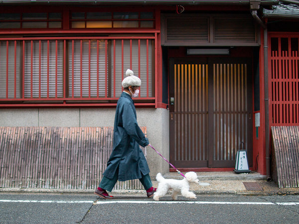 洛龍菴 壬生どうだん・もみじの写真その1