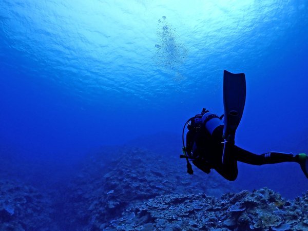 石垣島グループの宿2216　ユーグレナモールのプラン「【じゃらんスペシャルウィーク】12名まで宿泊可185平米貸切　離島ターミナルまで徒歩5分　石垣島2216　」
