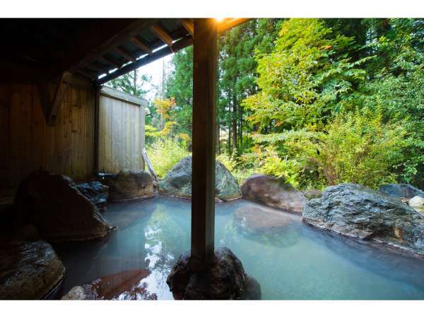 平湯温泉 2種の自家源泉と囲炉裏料理の宿 湯の平館の写真その3