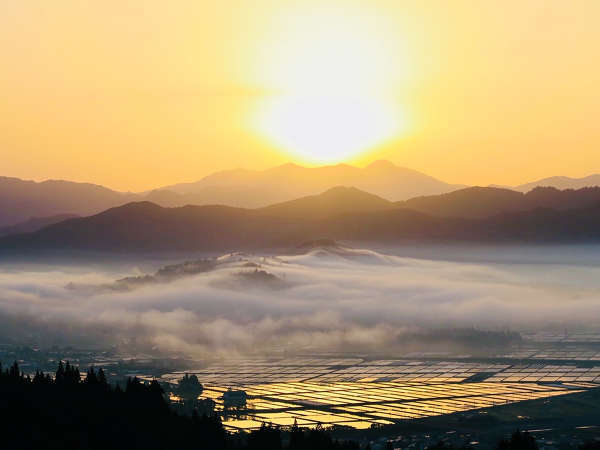 大自然の眺め　雲海