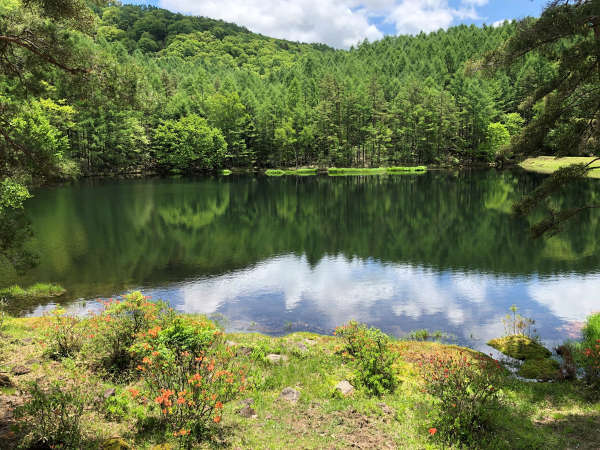 奥蓼科温泉郷 山の宿 明治温泉 御射鹿の湯の写真その5