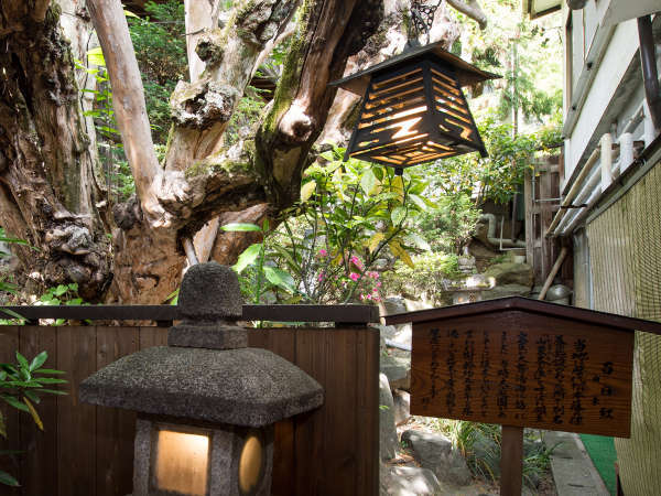 百日紅(さるすべり)の宿 丸中旅館の写真その5