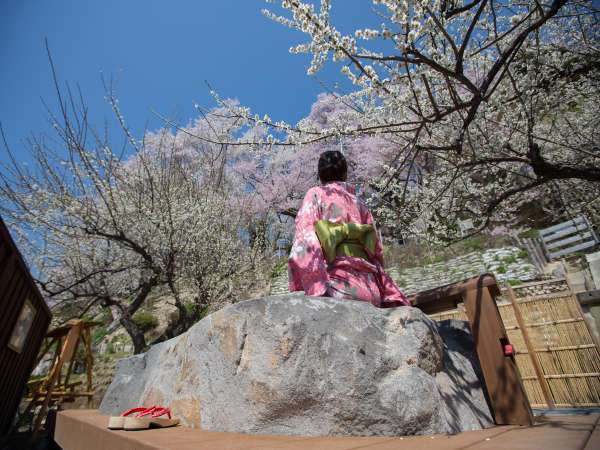 【御殿守歳時記】4月の花見の足湯は穏やかな日差しと色とりどりの花々。春がギュッと詰まってます♪