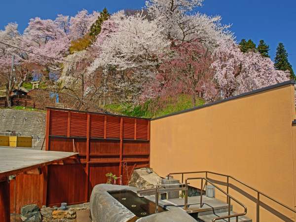 【東湯・露天風呂）桜も絶景！一段高い「原石風呂」で花見の湯あみを