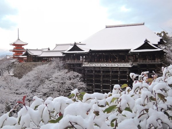 Stay SAKURA Kyoto(ステイサクラ)祭の写真その5